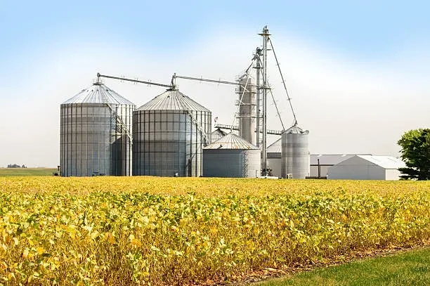 Imagem ilustrativa de Valor silo metálico